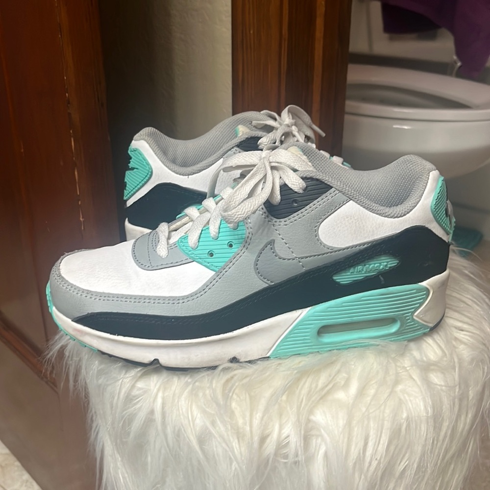 Nike Air Max 90 size 7.5